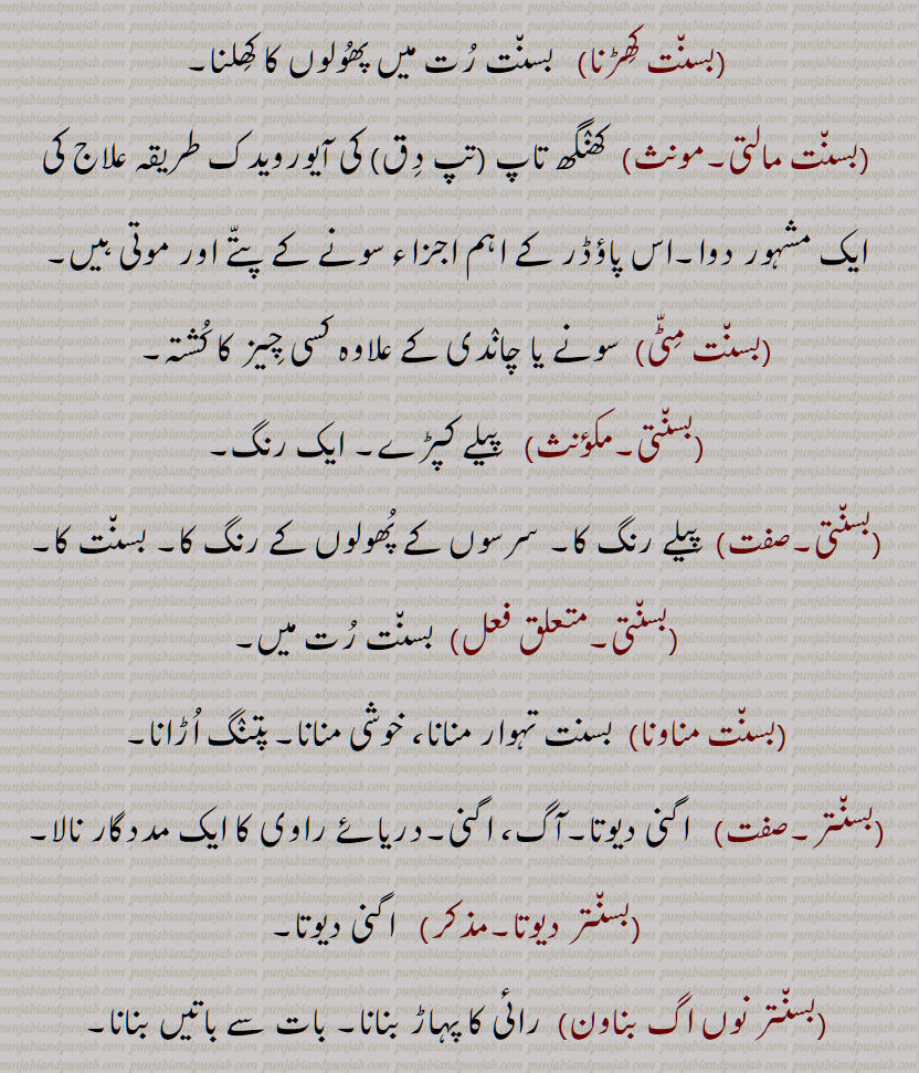 bsaNt, bsaNt rutt, bsaNt pnulna, bsaNti, bsaNt maalti, bsaNtar,