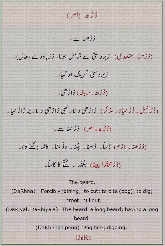     ڈڑھ , DaRh, ਡੜ੍ਹ , DaRhna, ਡੜ੍ਹਨਾ, ڈڑّھنا ,DaRiyal, DaRhiyala ,ڈڑھیل, ڈڑھیالا, ڈڑھیندا پَینا, DaRhenda pena,,  beard. cut. long beard. dog bite. digging