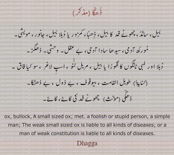  ڈگا,ڈھگا ,Dhagga, ਢੱਗਾ, Dagga, ਡੱਗਾ، ox, bullock. met. foolish. stupid. week ox, ٹھگی۔ ڈنگ۔ ڈگا۔ ڈگی۔ ڈونگا۔ کشتی۔ گٹھڑی۔بے ڈھب۔ بوڑھا۔ لمبی ٹانگوں والا۔ گھوڑا لمبے لمبے قدم۔حقہ۔ ڈھگی۔ گائےطویلبیل۔ سانڈ۔ ڈھبا۔ دبلا بیل۔ جانور۔ مویشی