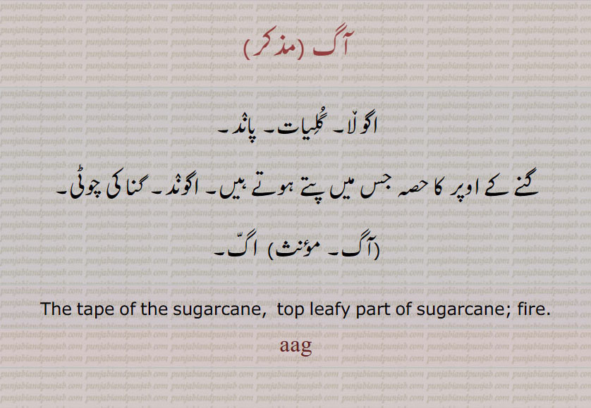 آگ,اگ،اگ ,aag ,ਆਗ ,گنے کے اوپر کا اگوند اگولا ,گلیات, پاند,