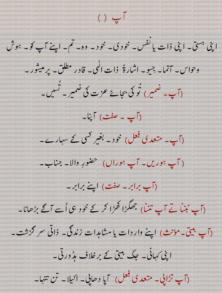 , آپ بیتی,آپ ہوراں,آپ تڑاپی, آپ تھوں آپ, آپے آپ, آپی آپ, آپ سوارتھ, آپ سوارتھی,آپ وچ دی, آپ دھراپ, اپ دھڑاپ, آپو دھاپ, آپ جوگا, آپ خودرا, آپ دا, آپ ڈوویکھنا, آپ روپ, آپ روپی,آپ شورا, آپ سداری, اپ سروپ, آپ سواں, آپ کاج, آپ کاجی, آپ کلاپا, آپ کنوں