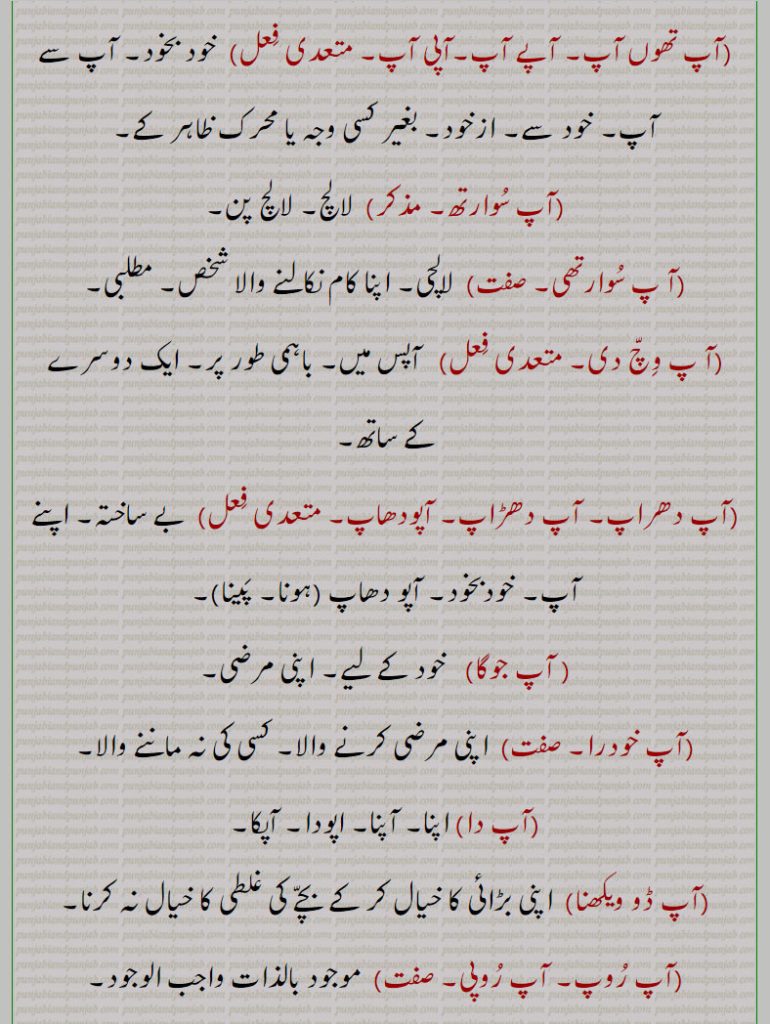 آپ کنوں آپ, آپ کوں, آپ متا, آپ متیا, آپ مونہاناں, آپ مہارا, آپ مہارے, آپ مھارا, آپ ہدرا,آپ وسا, آپا, آپا بھاؤ, آپا بُھل جانا, آپا بھلنا,آپا پرگٹانا, آپا صدقے کرنا, آپو وارنا, آپاں, آپاں دا,