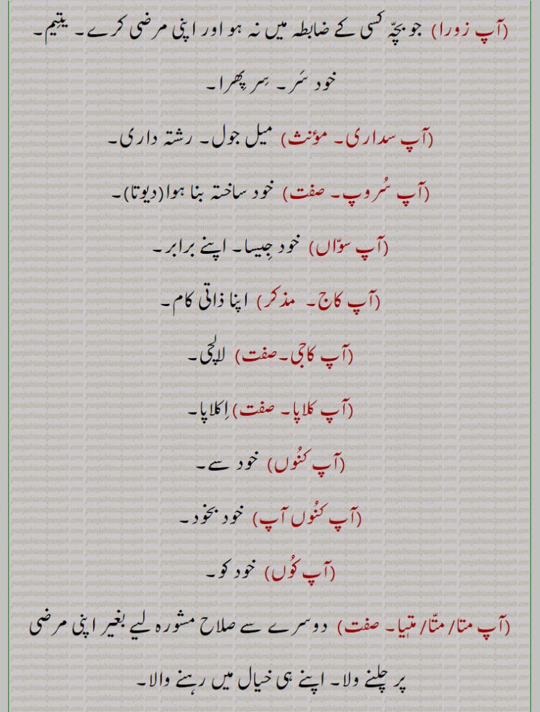 آپا اپنا, آپو آپنی,آپو آپ, آپو, آپو آپنی پینا, آپنی آپنی پینا, آپو آپنی ہوگ نوں گیڑنا, آپو والی گل, آپوں وانڑی, آپوں وانی, آپوں ہانڑی, آپوں وانی,