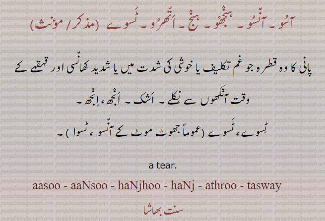 آسو,آنسو,ہنجھو,ہنج,اتھرو,ٹسوے,aaso, aaNso, haNjhoo, ਹੰਝੂ,ਆਸੂ,ਆਂਸੂ,ਹੰਝੂ,ਹਿੰਝ,ਅੱਥਰੂ,ਟਸਵੇ, haNj, athroo, tasway, اشک, انجھ, پانی, , tear, aansu, aasu, hanju