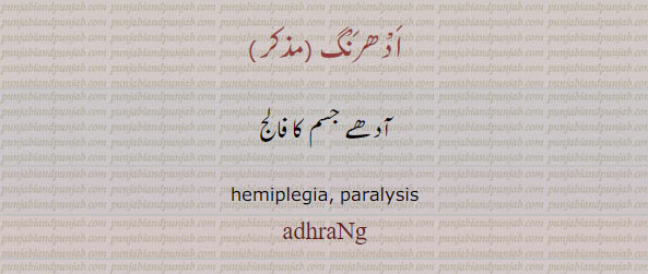 ,ادھرنگ  adhrang, ਅਧਰੰਗ,paralysis, فالج
