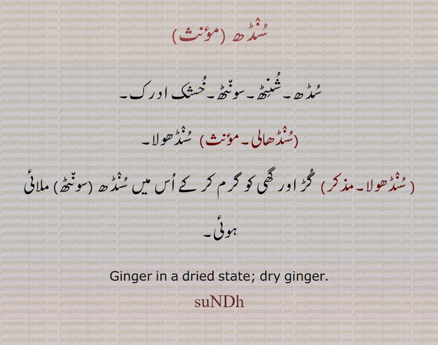 سنڈھ , سڈھ,شنٹھ,سونٹھ,,خشک ادرک,  ,سنڈھالی, سنڈھولا,Ginger in a dried state; dry ginger,sudh, sundh, ਸੁੰਢ, .  سُنڈھ , سُڈھ,شُنٹھ,سونٹھ,