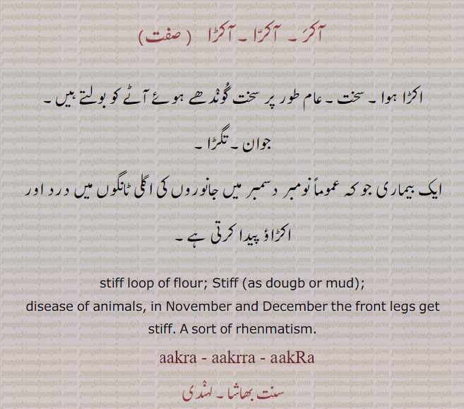 آکرا,آکر, آکڑا, akra, ਆਕਰਾ, akRa, ਆਕੜਾ , stiff loop of flour, disease of animals, rhenmatism,aakra,
