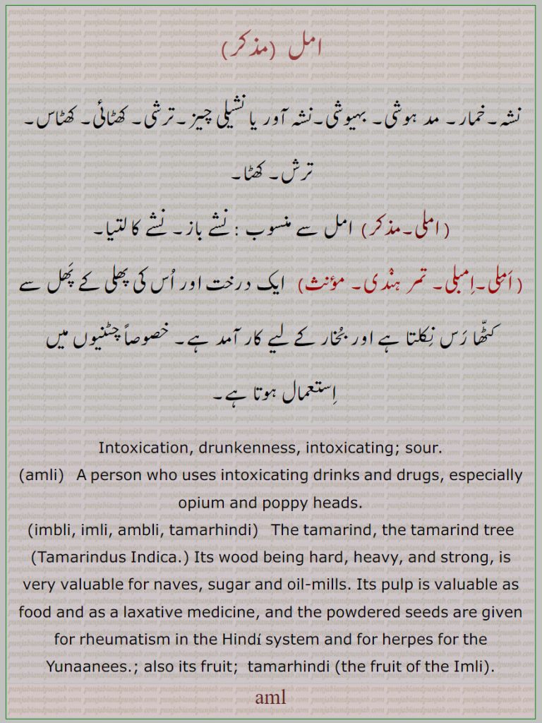  امل ,aml , amli,  ਅਮਲੀ,imbli, imli, ambli, tamarhindi,  ਅੰਬਲੀ, ਇਮਲੀ , ਤਮਰਹਿੰਦੀ ,املی۔ تمر ہندی۔ امبللی,intoxication, sour, tamarind, opium, drunkenness, heavy, sugar and oil millsfruit, yunaanees