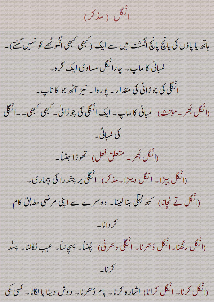  انگلی نہ چکنا۔ انگلی وی نہ لانا۔ انگلیاں تے گنیا جانا۔ انگلیاں تے گنے جانا۔ انگلیاں تے گنن گوچرا ہونا۔ انگلیاں تے نچانا۔ انگل تے نچاون۔انگلی کٹا کے شہیداں وچ رکھنا۔ انگلیاں نوں لہو لا کے شہیداں وچ رکھںا۔ انگلیاں نوں لہو لا کے شہیداں وچ داخل ہونا۔ انگلیاں کٹا کے شہیداں وش رلنا۔ انگلی کن وچ دئِ رکھنا انگلیاں کناں وچ دینا۔ انگلیاں گھسنا۔ انگلیں ٹکن۔ انگلیں ڈیونا۔,