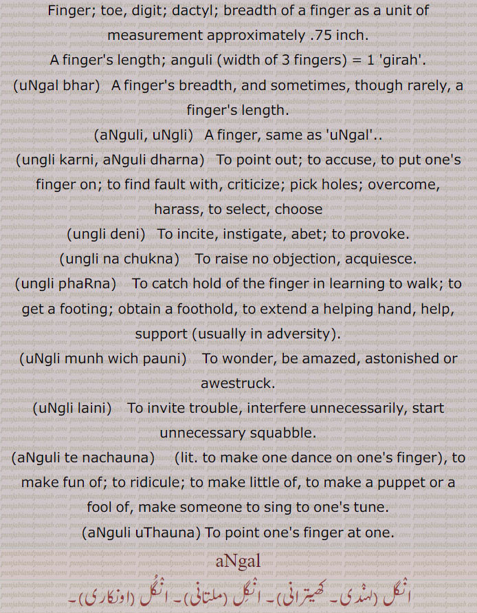  finger, digit, anguli, point out, accuse, select, acquiesce, help, support,squabble, to make puppet,ridicule