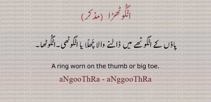  انگوٹھا, انگوٹھڑا,anggutha,angguthra,ਅੰਗੂਠਾ ,ਅੰਗੂਠੜਾ,