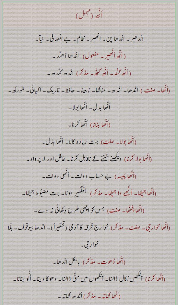 انھیاں نوں وی دسنا,انھے واہ,انھے دا چپھا, انھے کھوہ وچ جھات پانا, انھے کھوہ وچ پتھر ریہڑنا, انھے کھوہ، انھا کھوہ، انھ انھیر, انھ گند، انھ گتھ، انھا، انھا بنانا، انھا بولا، انھا بولا کرنا انھا پیسہ، انھا جپھا، انھے دا جپھا، انھا چنھا,انھا خوارجی, انھا دھوت, انھا کرنا, انھا کھاتہ, انھا کھڈو, انھا گھوڑا,انھا ہو جانا, انھا ہونا, انھی, انھی پینا, انھی پے جانا, انھی دھوتنی, انھی دھناسری مچانا, انھی کانی قبول کرنا,انھی کھیلنا, انھی مجھیں دا ماس کھانا, انھے , انھے اگے نچنا, انھے دے تھیہ,