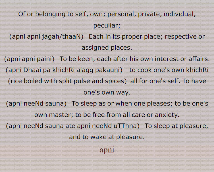 of or beloning to self, own, to be keen,  apni apni jagah/thaaN,apni apni paini,apni Dhaai pa khichRi alagg pakauni,apni neeNd sauna,apni neeNd sauna ate apni neeNd uTThna,