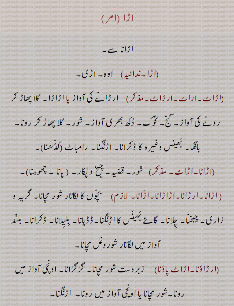اڑا ,ara,ਅੜਾ,اڑا,,اڑانا  ,اڑاٹ,اراٹ,ارڑاٹ,اڑاٹا  ارڑانا,اڑاڑانا, لگاتار شور مچانا,اڑنگنا,ڈڈیانا, بلیلانا, ڈکرانا,ارڑاؤنا,اڑاٹ پاؤنا,اِڑا,اڑا,اڑی,اڑا, سدہ۔ اڑاند,اڑا پووی,اڑاپ,اڑاڑا,راڑا, راہڑا,araRaaR, ਅਰਡ਼ਾਟ,arrat,  ਅਰੜਾਟ,arrauna, ਅਰੜਾਉਣਾ, ਅਰਡ਼ਾਉਣਾ , ਅੜਾਟ ਪਾਉਣਾ,ara,ਅੜਾ, ਅਰਡ਼ਾਟ,ara, roaring, great noise, rumnling, agonised vry, blubber, rumble