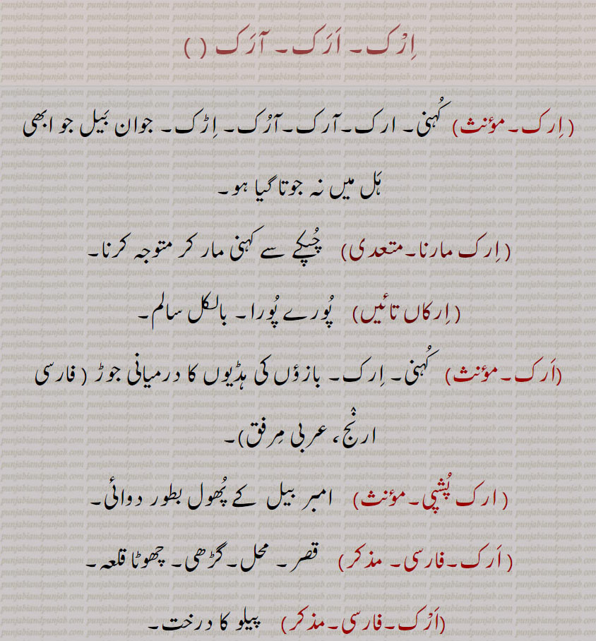   ارک, آرک , ارک مارنا, ارکاں تائیں, ارک پشپی ,اڑک, اڑکاں,اڑکنا,اڑک بڑکڑیاں,اڑکا  ,اڑکا پینا,اڑکا ڈاہنا, اڑکا پانا,اڑک مڑک,اڑکن مڑکن,