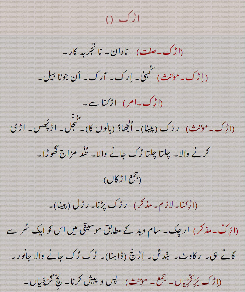 اڑک۔ اڑکنا۔ نادان۔ نا تجربہ کار۔ اڑکاں۔ رڑل۔ ارچک۔ رکاوٹ۔ اڑچ۔پھندا۔ بانکپن۔ نخرا۔ چٹک مٹک۔ اڑیکا۔ بندش۔, اڑکا ڈاہنا۔ اڑکا پانا۔ اڑک مڑک، اڑکن مڑکن۔ 
کہنی۔ ارک، ان جوتا بیل۔ آرک۔گنجل۔ اڑپھس، اڑی تند مزاج گھوڑا۔  ،elbow.untrained, resistion, obstruct