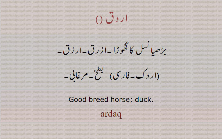اردق, ardaq, ardak, اردک, duck, breed horse ,ازرق, ارزق, مرغابی,  بطخ , گھوڑا
