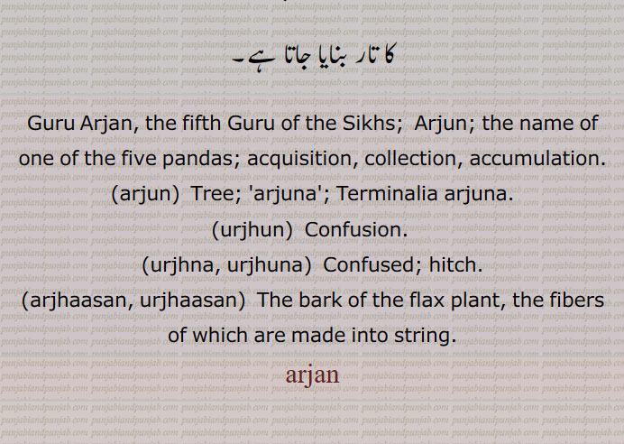 ارجن,arjan,ਅਰਜਨ,ਅਰਝਨ,ਅਰਝਨਾ,ਉਰਝਾਸਨ, ارجھن,الجھن,ارجھنا,ارجھاسن,,arjuna, Terminalia arjuna,urjhun,urjhna, urjhuna,arjhaasan, urjhaasan , guru Arjan, acquisition, tree , confusion, bark of flax plant, fibers of which are made into string, terminalia arjuna. arjun