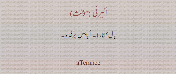 ateranee, aterani,  بال کٹارا, ابابیل