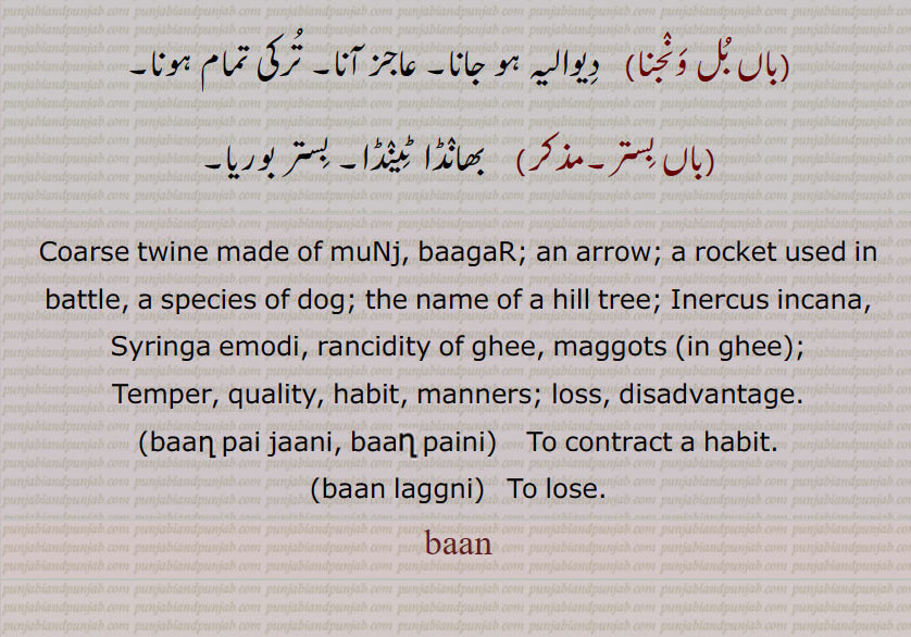     بان, baan,ਬਾਣ,بان, تیر,بان مارنا,بانا ,بان بھچر, بان پینا,بانے, بان کھانا, بان لگنی, بان پرست, بان پھونت, بن دا کھوڑ, بن چِیت, بان سلوچن ,بانا ,واں, باں, باں باں, باں باں کرن, باں بکنا, باں بل ونجنا, باں بِستر,baan pai jaani, baan paini,baan laggni, baan,ਬਾਣ, خدنگ۔ ہمت۔ کوشش۔ مانجا۔ مائیاں۔تیر مارنا۔ دلکش آواز۔منج۔ مونج۔ دوہلٹا رہٹ۔ بانھ۔ بانہہ۔ بان کتا۔ پلا ہوا۔سرخی مائل سدیس درخت۔ عادت۔ بھیس۔رسم۔ گھاٹا۔ محافظ۔ جنگل۔سرکنڈا۔ گھی کے کیڑے۔ باؤلی۔ سیڑھی والا کھوہ۔شور۔ دیوالیہ۔ بھانڈا ٹینڈا۔, munj, srrow, rocket, tree, naggots in ghee, mannersm loss, temper, quality, baan