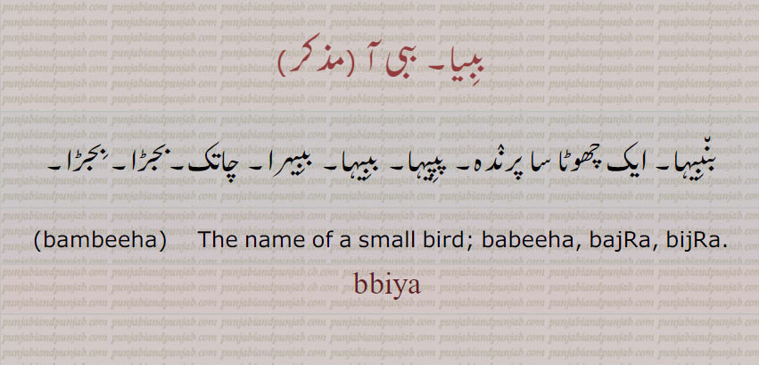     The name of a small bird; i. q. Babiha, BajRa, BijRa  بنبِیآ۔   ببِیہا۔  چھوٹا سا پرندہ۔
 ببیا ,babiya , , ببی آ, بنبیہا, پپیہا, ببیہا, ببیہرا, چاتک,بجڑا,بجڑا,  bambeeha, babeeha, bajra, bijra,babiya , ਬਬੀਹਾ, bambeeha, ਬੰਬੀਹਾ,ਬੰਬੀਹਾ , ਪਪੀਹਾ , small bird. bijra.