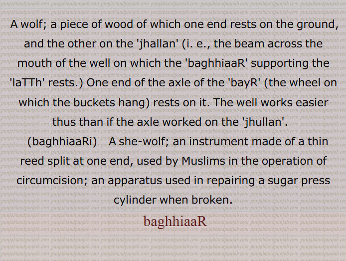 Animal, wolf, بگھیاڑی۔بگھیاڑ۔بھیڑیا۔ . she wolf. used incircumcision, wheel on which the buckets hang. jhullan, well.repairing sugar press cylinder. instrument