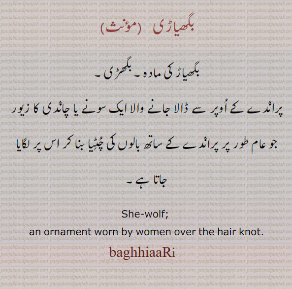 بگھیاڑی,baghiaari,baghhiaari,baghiari,ਬਘਿਆੜੀ, بگھیاڑ کی مادہ۔ بگھیاڑی۔پراندے پر ڈالے جانے والا زیور . she wolf. over the hair , braid