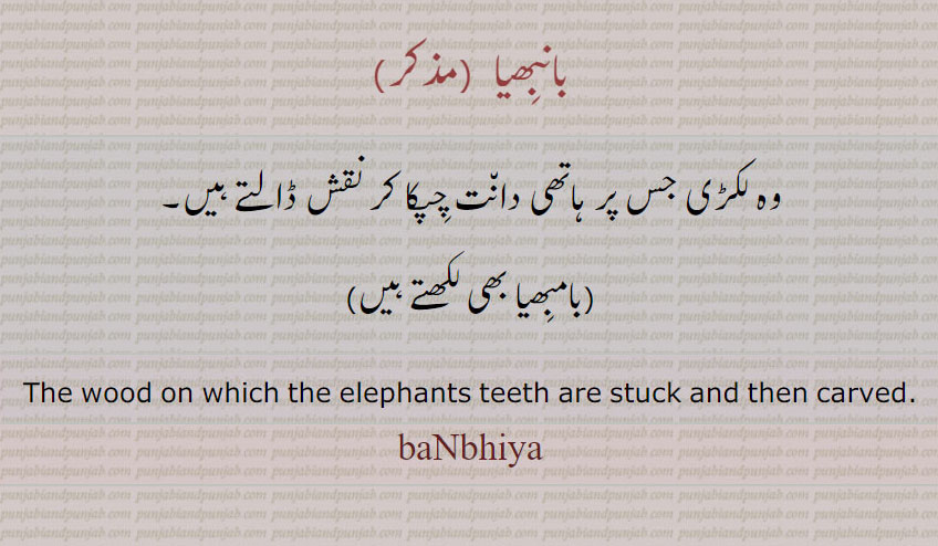  بانبھیا ,بانبھیا ,banbhiya,ਬਾਂਭੀਆ,ہاتھِ دانت پچکانے کی لکڑی، بامبھیاbambhiya, wood elephants teeth stuck
