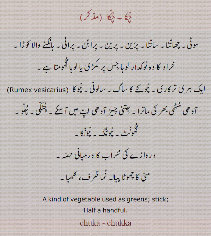 چکا,chuka,chukka,ਚੂਕਾ,ਚੁੱਕਾ,rumex vesicarius,vegetable. stick. half handful, چکے کا ساگ۔ سالونی۔ چوکا۔ آدھی مٹھی۔چونگا۔چھانٹا۔ سانٹا۔ پرین۔ پرائن۔ کوڑا۔