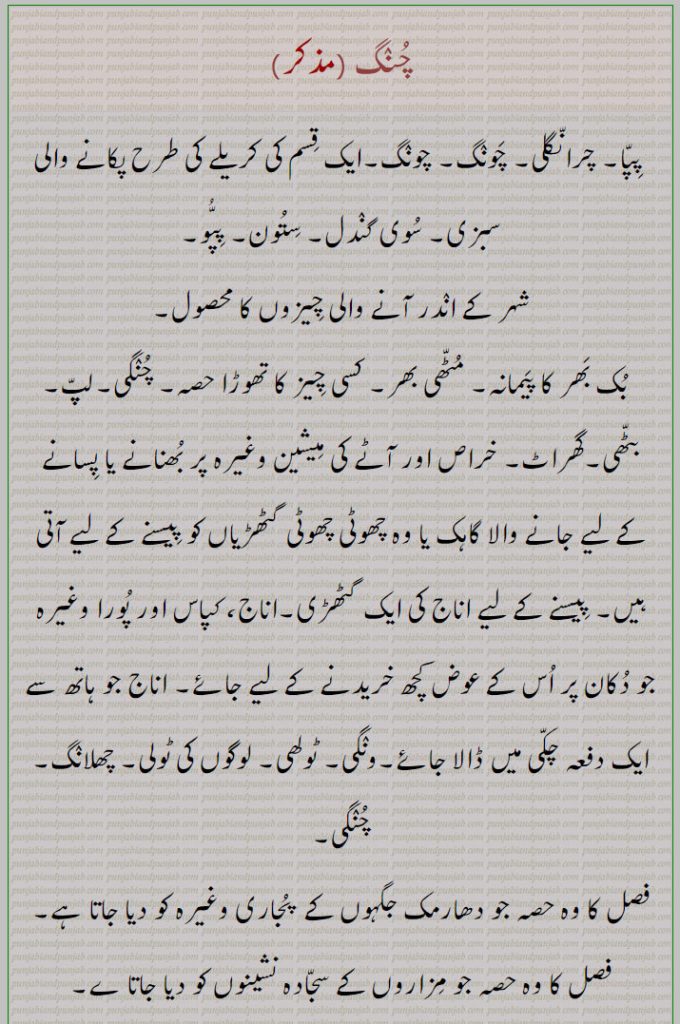 چنگ , پِپّا, چرانگلی, چونگ, چنگی, چنگاں,چنگ چور,چنگی, چوکڑی بھرنا, چنھی بینٹھ,چنگی,چنگی ادا کرنا, چنگی بھرنا,چنگی خانہ,چنگی دیون,چنگی لون, چنگی مارنا, چونکڑی بھرن,چنگیاں,چنگیاں مارنا,چونگی,  چونگا,چونگی باز,چونگ, چرانگلی, چنگ,چونگڑا,چونگھ,چونگنی,چُونگھنی, چوسنی,چونگھا,چونگھا,چونگھا کٹنا,چونگھا کڈھنا,چونگھ ڈھاب,چونگی, چڑونگلی,چونگی,چنگنی, چنگی,ChauNga; Pippa; Pippu; 