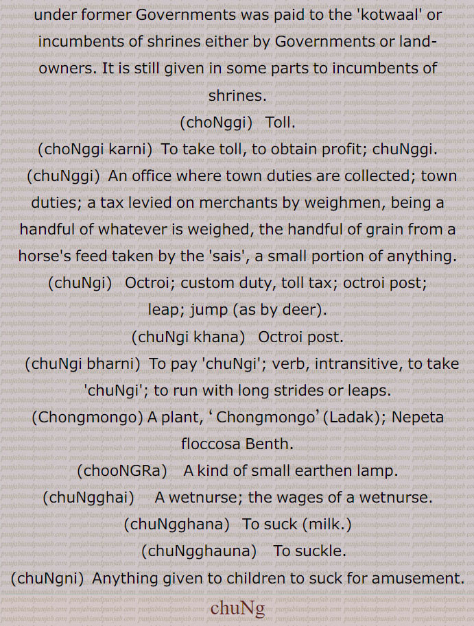 Boucerosia edulis Edgew, Boucerosia stocksiana Boiss, Boucerosia edulis. kotwal,choNggi,  ਚੋੱਗੀ ,Toll,choNggi karn,chuNggi,   ਚੁੰਗੀ,small portion of anything.chuNgi,  ਚੁੰਗੀ ,chuNgi khana, ਚੁੰਗੀ ਖਾਨਾ,chuNgi bharni,ਚੁੰਗੀ  ਭਰਨੀ,Chongmongo,chooNGRa,  ਚੂੰਗੜਾ,chuNgghai,   ਚੁੰਘਾਈ,  A wetnurse,wages of a wetnurse,chuNgghana, ਚੁੰਘਣਾ ,To suck,chuNgghauna,  ਚੁੰਘਾਉਣਾ ,chuNgni,  ਚੂੰਗਣੀ,چنگ,chuNg, ਚੁੰਗ,Caralluma edulis; chooNg; chooNgaaN; Boucerosia edulis Edgew; Boucerosia stocksiana Boiss; chang, pippu, sittu.small portion, sample, pinch, bit,under former, take toll. custom duty, octroiearthen lamp. suckle. suck, leap