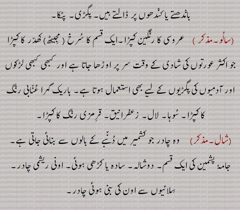   ,بھوچھن, بھوچن, بھونچن,چنی, چنری  ,بوچھن, چنری,چادر,سالو,شال, دوشالہ, زعفرانیق۔ قرمزی۔ سوہا۔ عنابی لپڑا۔ پگڑی۔ جامہ پشمین۔ دوپٹہ,bhochhan,  ਭੋਛਣ, chunni,  ਚੁੰਨੀ,chaadar, ਚਾਦਰ,doopaTTa,dupaTTa ,ਦੁਪੱਟਾ,saaloo,  ਸਾਲੂ,shaal,  ਸ਼ਾਲ, woman sheet. wrapper. shawl. vail. 