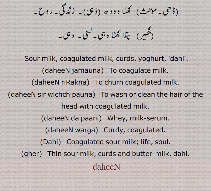 Sour milk, coagulated milk, curds, yoghurt, dahi, daheeN jamauna, daheeN riRakna, daheeN sir wichch pauna, daheeN da paani, ਦਹੀਂ ਦਾ ਪਾਣੀ, milk-serum,daheeN warga,ਦਹੀਂ ਵਰਗਾ, Dahi,Coagulated sour milk, gher, butter-milk, دہِیں , دھئیں, daheeN,  ਦਹੀਂ,, 