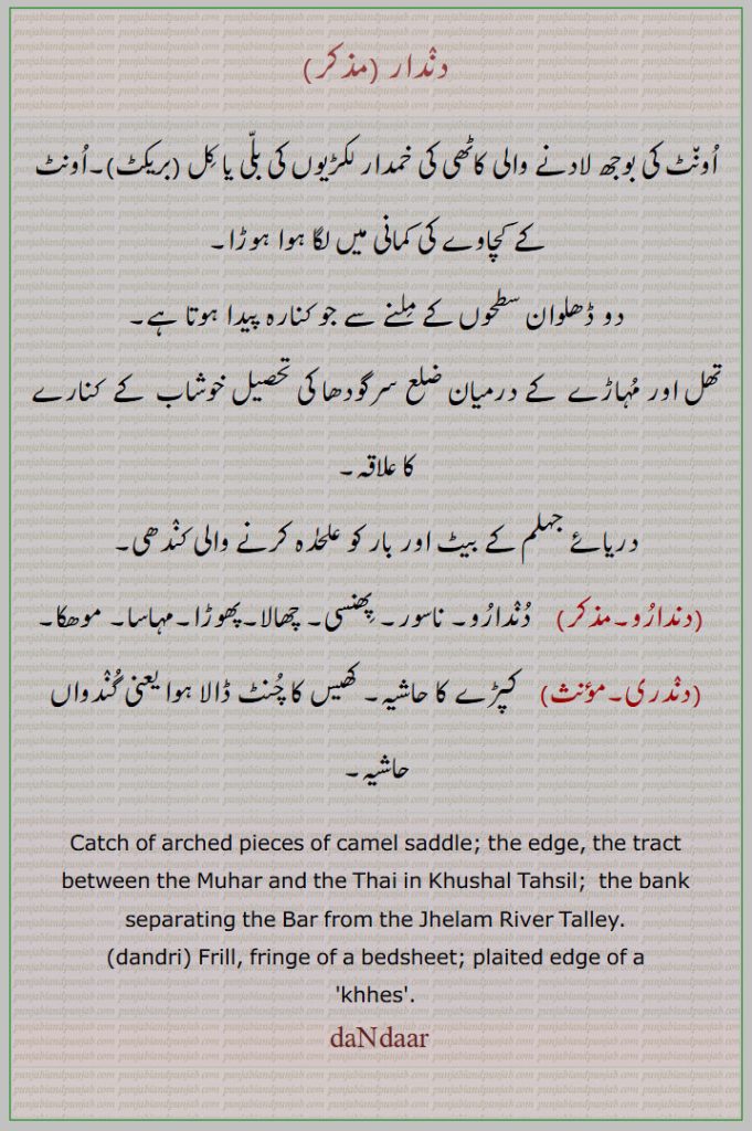       دندرا, dandaar, ਦੰਦਾਰ, ਦੰਦਰੀ,dandri ,دندار, ہوڑا, کندھی, دندارو, ناسور, پھنسی,پھوڑا,دندری,  کپڑے کا حاشیہ, Catch of arched pieces of camel saddle, the edge, dandri,    , Frill, fringe of a bedsheet, dandaar,  کاٹھی کی لکڑی۔ کچاوے کی کمانی۔ تھل اور مہاڑے کے درمیان۔ کندھی۔ کپڑے کا حاشیہ
