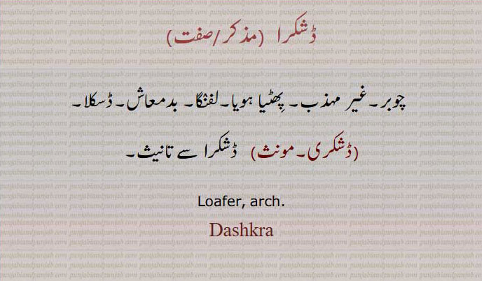ڈشکرا,dashkra,ਡਸ਼ਕਰਾ,ڈشکری, غیر مہذب۔ بدمعاش۔ ڈسکلا۔ لفنگا۔ چوبر۔loafer. arch