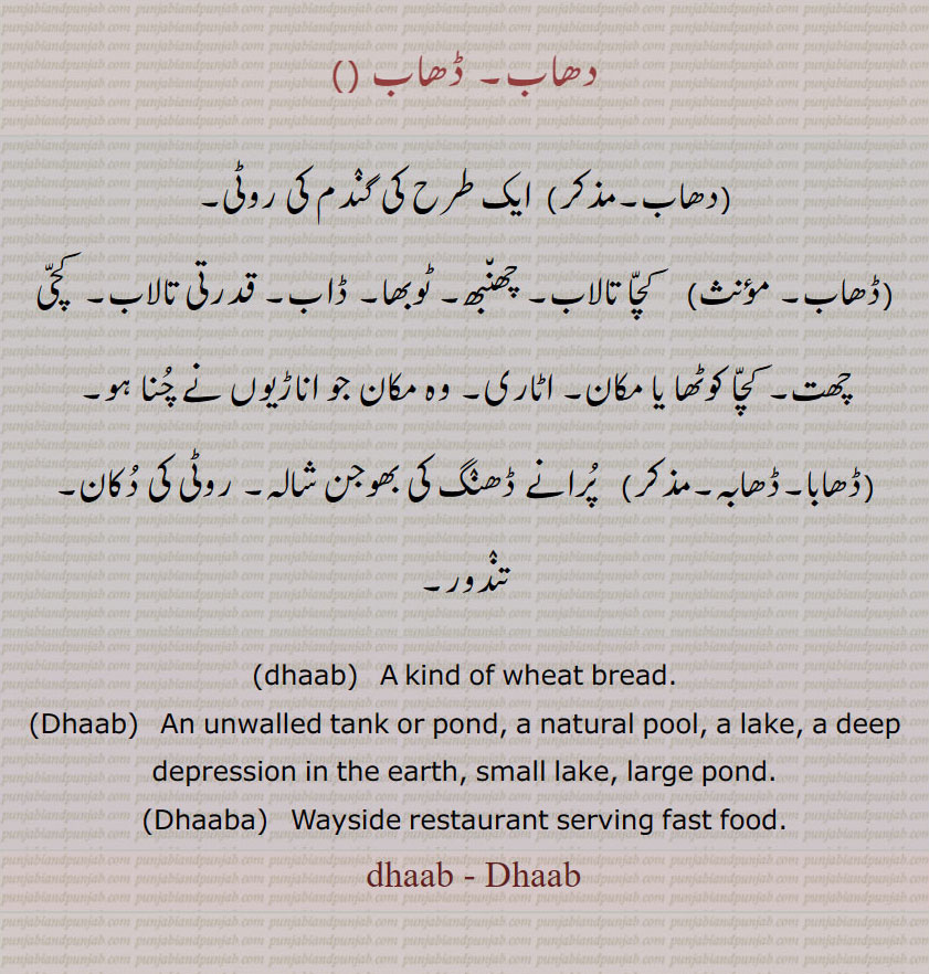     دھاب, ڈھاب,دھابا, دھابہ,ڈھابا,ڈھابہ, dhaab, Dhaab, Dhaaba, dhaab, Dhaab,  wheat bread. unwalled tank or pond. natural pool. lake. deep depression. wayside restaurant. fast food. wayside restaurant serving fast food
  ਢਾਬ ۔ ਢਾਬਾ۔
ڈھاب، small lake, large pond، ۔ڈھابہ