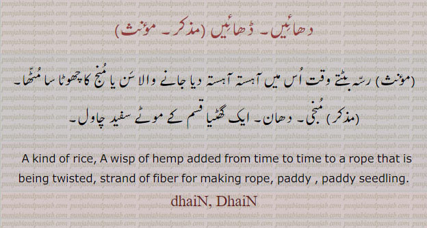 ,ਢਾਈਂ,دھائیں, ڈھائیں,dhaiN, DhaiN,ਧਾਈਂ، منجی۔ دھان۔ موٹے سفید چاول۔ , rice. wisp of. hemp . paddy. making rope