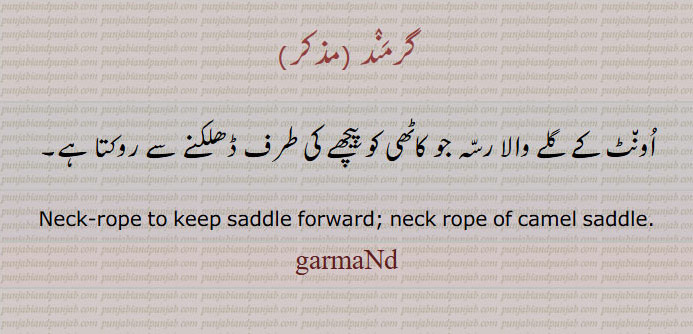  گرمند ,garmand,ਗਰਮੰਦ, اونٹ کے گلے کا رسہ کاٹھی کو روکے۔neck rope to keep sddle forward. camel saddle