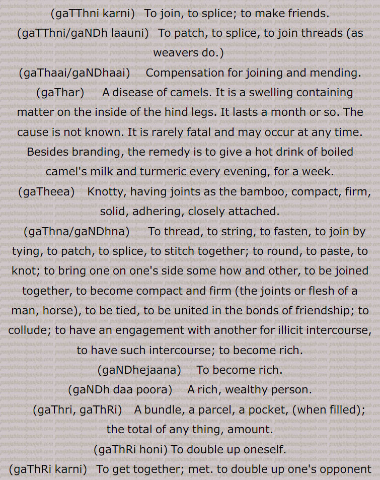  gaTThni karni,   To join, to splice; to make friends., gaTThni/gaNDh laauni,  To patch, to splice, to join threads , gaThaai/gaNDhaai,     Compensation for joining and mending., gaThar,      A disease of camels. It is a swelling containing matter on the inside of the hind legs. It lasts a month or so. The cause is not known. It is rarely fatal and may occur at any time. Besides branding, the remedy is to give a hot drink of boiled camel's milk and turmeric every evening, for a week., gaTheea,    Knotty, having joints as the bamboo, compact, firm, solid, adhering, closely attached. gaThna/gaNDhna,     To thread, to string, to fasten, to join by tying, to patch, to splice, to stitch together; to round, to paste, to knot; to bring one on one's side some how and other, to be joined together, to become compact and firm (the joints or flesh of a man, horse), to be tied, to be united in the bonds of friendship; to collude; to have an engagement with another for illicit intercourse, to have such intercourse; to become rich. gaNDhejaana,     To become rich. gaNDh daa poora, A rich, wealthy person., gaThri, gaThRi,    A bundle, a parcel, a pocket, (when filled); the total of any thing, amount., gaThRi honi, To double up oneself., gaThRi karni To get together; met. to double up one's opponent in wrestling.,