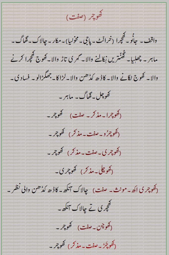      کھوچر ,مکار,چالاک,گھاگ,جھگڑالو,کھوچرا,کھوچرو,کھوچری,کھوچلی,کھوچری اکھ,کھوچن, کھوچر,کھوچڑ,کھوچڑا,کھوچل,  کھوکھلا,کھوچلا,کھنوچرنا,کھنوچرن,کھرچنا,کھوچرنا , واقف۔ جانو۔ کھطرا۔ خرانٹ۔ پاجی۔ مخولیا۔ مکار۔ چالاک۔ گھاگ۔ ماہر۔ چھلیا۔ گھنتریں نکالنا۔ گہری تاڑ والا۔ کھوج کھچرا کرنے۔ کاڈھ کڈھن والا۔لڑاکا۔ جھگڑالو ۔فسادی۔ کھوچل۔ ۔ زود کوب کرنا۔ بڑا فریبی۔ ات گہرا بندا۔ کھوکھلا۔ ڈھیلا۔ خلخلا۔ کچھکیاوا۔ نکارا۔کھودنا۔ پٹنا۔ کھوچرنا۔ کھنوچرنا۔