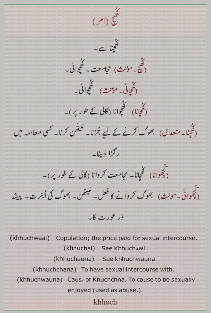   کھچنا,,کھچ, کھچوائی,کھچائی,کھچانا, کھچوانا , گالی۔ مجامعت۔ کھچوانا۔ بھوگ کرنا۔ میتھن کرنا۔ رگڑا دینا۔ پیشہ ور عورت۔,
khhuch,khuch,ਖੁਚ , khhuchwaai,  ਖੁਚਵਾਈ, khhuchai,  ਖੁਚਾਈ, khhuchauna, ਖੁਚਾਉਣਾ, khhuchchana, ਖੁੱਚਣਾ, khhuchwauna,ਖੁਚਵਾਉਣਾ,,  copulation, price paid sexual intercourse. khhuchawi. khhuchwaona.used as abuse.