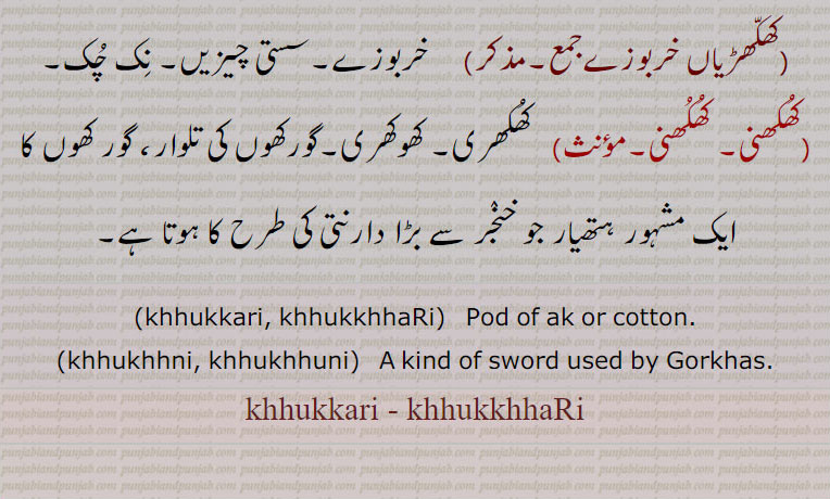  khhukkari, pod of ak, cotton. kind of sword used Gorkhaskhhukkhhari ,ਖੁੱਕਰੀ,ਖੱਖੜੀ, khhukhhni, khhukhhuni, ਖੁਖੁਨੀ,  ਖੁਖਨੀ,