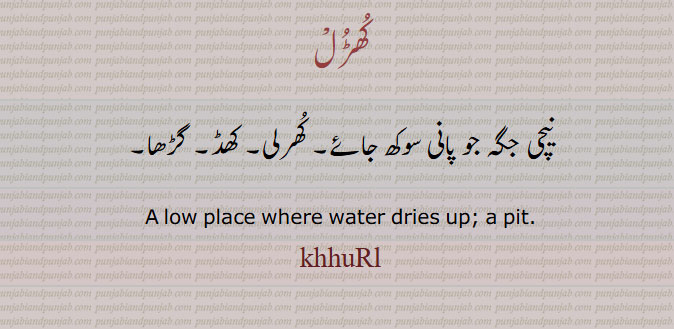 کھڑل
نیچی جگہ جو پانی سوکھ جائے۔ کھرلی۔ کھڈ۔ گڑھا۔
A low place where water dries up; a pit.
khhurl, khurl, ਖੁਰਲ,  ਖੁੜਲ