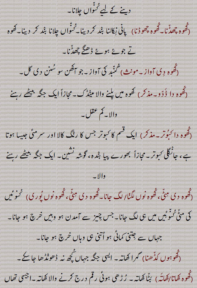  کھوہ نوں پُوری,کھوہوں کڈھنا,کھوہ کھاتا/کھاتہ,کھوہ کھاتے پانا,کھوہ کھاتے پینا,کھوہ کھاتے وچ سٹنا,کھوہ کھڈ,کھوہ کھلڑ,کھوہ گیڑنا,کھوہ چلاونا,کھوہ لاہنا,کھوہ لاؤنا,کھوہ لوانا,کھوہ نوں گیڑنا,کھوہ لہنا,کھوہ وچ لہنا,کھوہ وچ بولنا,