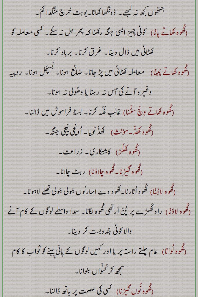 کھوہ وچ سٹنا,کھوہ نوایا,کھوہ وہاونا/واہون,کھوہ ودھاونا,کھوہ وگنا,کھوہا,کھوہائی,کھوہن,کھوہنی,کھوہنے,اچھوہنی, اکشوہنی,کشوہنی, کھنی,کھوہنٖیاں گالنا/کھپانا,کھوہنٖیاں گلنا/ کھپنا,کھوہوں کڈھنا,کھوہٹا,کھوہڑا,کھُوہڑی,کھوہی,