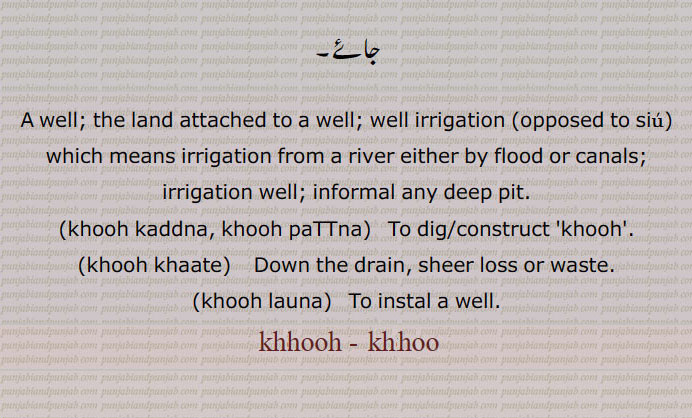 A well, the land attached to a well, well irrigation,khooh kaddna, khooh paTTna, ਖੂਹ ਕੱਢਣਾ , ਖੂਹ ਪੁੱਟਣਾ,khooh khaate, ਖੂਹ ਖਾਤੇ,khooh launa, ਖੂਹ ਲਾਉਣਾ , کھوہ ,khooh  khoo , ਖੂ, ਖੂਹ,well, land attached to well. well irrigation. deep pit. to dig. down the drain. sheer loss or waste. 
