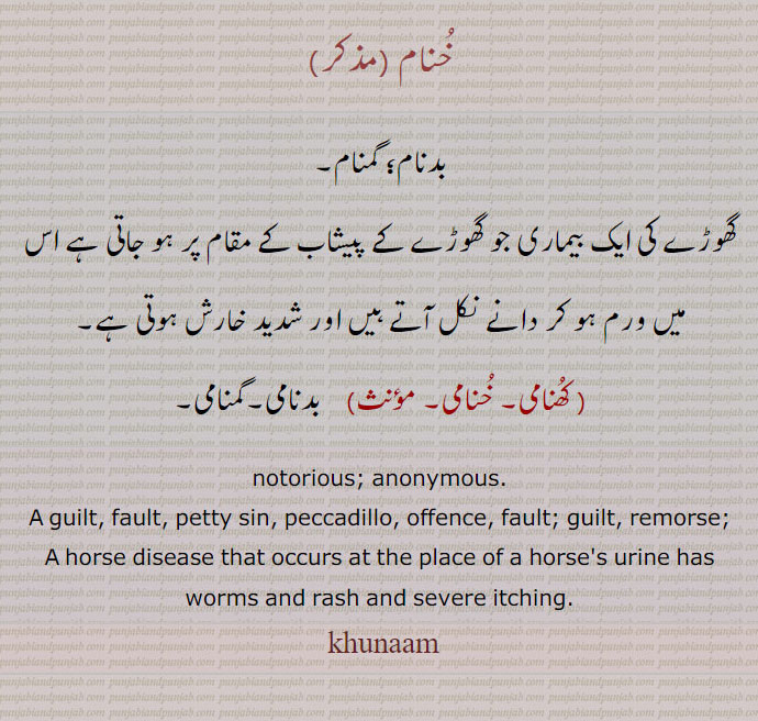   خنام۔ کھنامی,خنامی,khunaami, khunaam, ਖੁਨਾਮ,ਖੁਨਾਮੀ ,بدنام۔ گمنام۔ بدنامی۔ گمنامی۔گھوڑے کی ایک بیماری جس میں شدید خارش دانے ورم۔notorious. anonymous. guilu. fault. petty sin. horse disease at urine .

