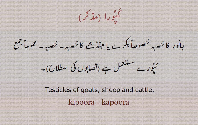 کپورا ,کپورے ,kipoora, kapoora, ਕਿਪੂਰਾ, ਕਪੂਰਾ , testicles of cattle. جانور کا خصیہ۔ خصیہ۔ کپورے
