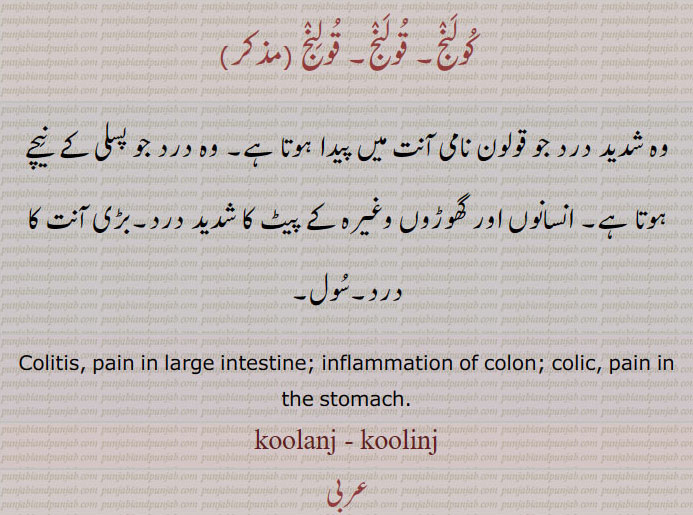 colitis, pain in large intestine;inflammation of colon، بڑی آنت کا درد,سول
 Colic, پیٹ کا درد سول۔  