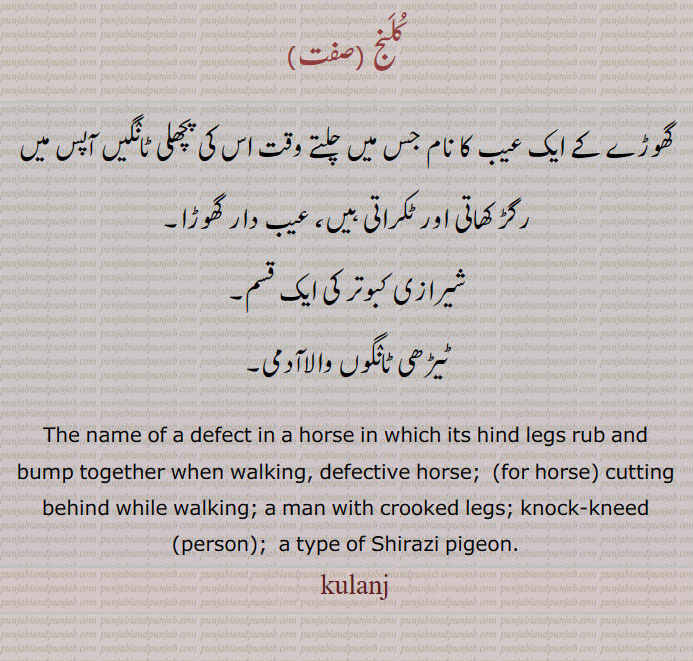   کلنج ,کولنج, قولنج, قولنج ,, qulanj,kolanj,kolinj,koolanj,koolinj,کلنج ,  ਕੁਲੰਜ
تمباکو تمباکھو۔ زہریلا ہتھیار سے  زخمی جانور۔ ایسے جانور کا گوشت۔tobacco. wounded by poisonous weapons animal flesh of such, klanj. kalanj.kolanj,kulanj. qulanj. qlanj. qlanj
knock-kneed (person); (for horse) cutting behind while walking
 قسم,ٹیڑھی ٹانٛگوں والاآدمی عیب دار گھوڑا,شیرازی کبوتر کی ایک. shirazi pigeon. گھوڑے کا عیب۔ ,a man with crooked legs,kulanj,۔